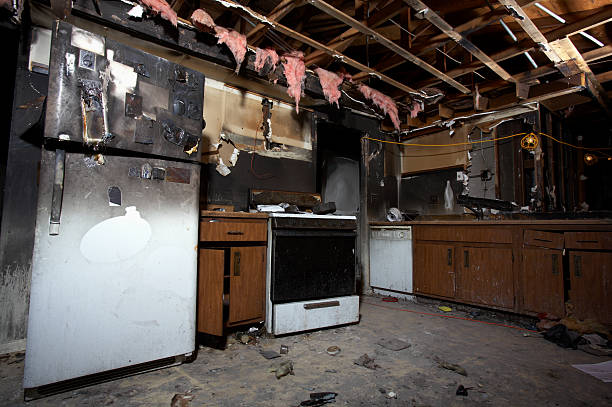 Affordable Fire Damage Removal solutions in Le Center, MN